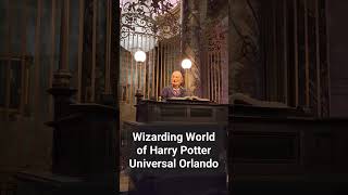 Universal Studios Orlando Wizarding World of Harry Potter Escape from Gringotts shorts [upl. by Neeruam163]