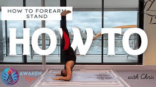 6Minute How To Master Forearm Stand  Awaken Yoga Inversion Progressions [upl. by Griffie156]