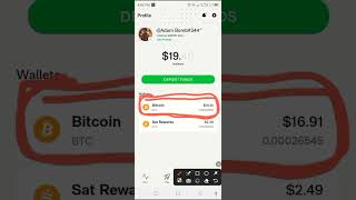 How To Withdraw Your Bitcoin From Ember App To Your Personal Wallet [upl. by Flosi709]