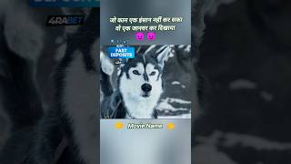 Hollywood movies explained in Hindi hollywoodmovieexplainedinhindi hollywoodmovie horrorstories [upl. by Pufahl]