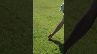 How We Test Lawn Mower Side Discharge Mode shorts [upl. by Akemet132]