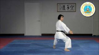 Heian Shodan  International HayashiHa ShitoRyu [upl. by Enuj]