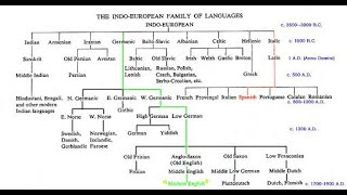 Indo European Language Family [upl. by Einnep]