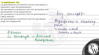 In angiosperms the A gametophyte is prominent and the sporophyte is dependent upon the gameto [upl. by Krystal604]