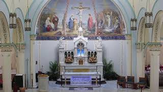 Tuesday Mass 815 AM  Rosary [upl. by Steele33]