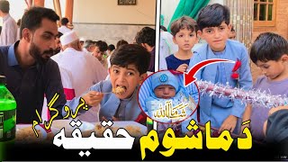 Nafees Funny Vlog  Afaq aw nafees 2023 [upl. by Pike]