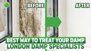 How To Effectively Treat Damp In Your House Solutions For Rising Penetrating amp Condensation [upl. by Worra]