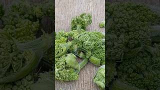 Edible Hogweed Flower Heads A Delicious Alternative to Broccoli wildfood broccoli [upl. by Gosney79]