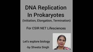 DNA Replication in Prokaryotes Initiation Elongation Termination Molecular Biology [upl. by Muiram]