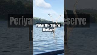 Periyar Tiger Reserve Thekkady Kerala BoatingAnimal sightseeing [upl. by Eppesuig877]