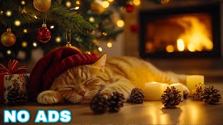 Calming music for Cats  Halloween ambience no ads 🎵 Cat music for anxiety  Piano cat music relax [upl. by Stanislas]