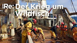 Auf einem Trawler vor den FäröerInseln  ARTE Re Reupload [upl. by Atiram178]