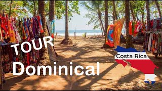 Dominical Costa Rica Tour  Dominical Beaches have Great Surf and Great Places to Live in Costa Rica [upl. by Hasheem]