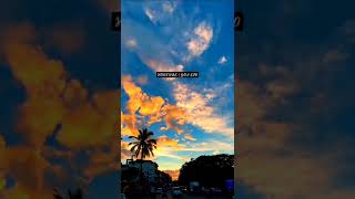 Tera Naam Dhokha Rakh Du Whatsapp Status Manan Bhardwaj Dhokha Status shortsfeed The Goa Explore [upl. by Ilse]