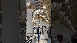 🤲Muala ya Salim w salim naat 🤲 shortsfeed love ytshorts [upl. by Cesaria]