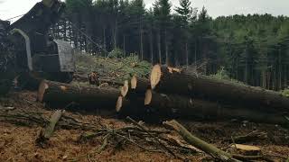 John Deere Skidder Logging Driving the 640L backwards then it makes a good drag up a slick slope [upl. by Nepean145]