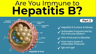 Are You Immune Hepatitis B  Part2  Hepatitis B Australia Antigen  Chronic Hepatitis B [upl. by Hulen]