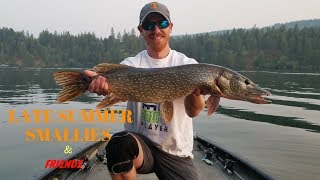 Smallies amp Friends Vol 1 Long Lake WA [upl. by Magen508]