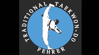 Kickkombination Fehrer TaekwonDo System [upl. by Eeralav]