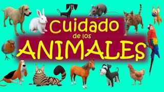 CUIDADO de los ANIMALES para niños a Necesidades de animales para niños a Animales para niños a [upl. by Inglebert156]