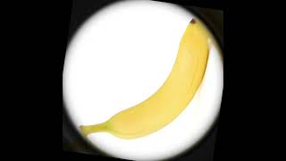 “Banana” a gorilla tag song ￼ [upl. by Libbie]