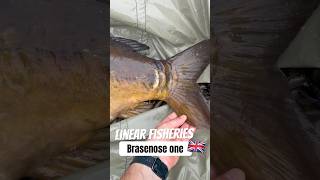 Amazing trip from Ireland to Linear Fisheries Brasenose one Uk 🇬🇧 Full movie 👇linearfisheries [upl. by Ahsilahk823]