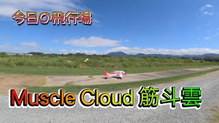 今日の飛行場（20240916）Muscle Cloud 筋斗雲 [upl. by Eicak770]