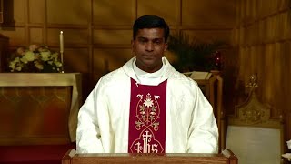 Catholic Mass Today  Daily TV Mass Thursday July 11 2024 [upl. by Gridley]