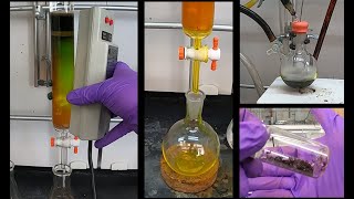 Experiment 6 Synthesis of 8SMeBODIPY [upl. by Yemiaj168]