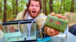 walmarts rebel AE500 rechargeable aerator review keep your bait alive [upl. by Ative]