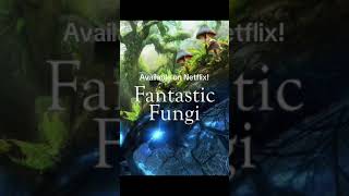 Fantastic Fungi film review [upl. by Nuahsad]