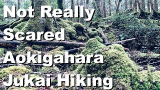 Not Really Scared Aokigahara Jukai Hiking Introduction [upl. by Noella]