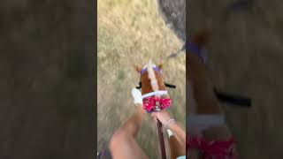 GoPro jumping course music newmusic song housemusic beach hobbyhorseedit horse hobbyhorsing [upl. by Esialb77]