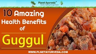 10 Amazing Health Benefits of Guggul Commiphora Mukul [upl. by Irej190]