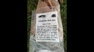 how i use logwood dye for traps [upl. by Ehsiom590]