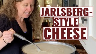 JarlsbergStyle Cheese  How To Make [upl. by Nevs]