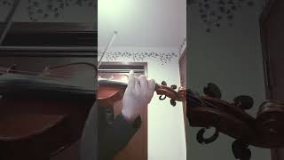 Haydn Violin Concerto No1 in C major III Finale [upl. by Gnok173]