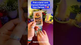 ❣️TAROT CARD READING❣️UNKI CURRENT FEELINGS❣️NO CONTACT LOVE TAROT🕯️CANDLE WAX READING shorts [upl. by Tail769]