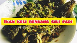 IKAN KELI RENDANG CILI PADI [upl. by Eseuqcaj]