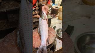 Most Creative Rohu Fish Cutting Skills By Professional Cutter😲 episode1 shorts [upl. by Silrac]