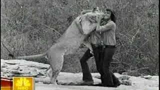 Christian the Lion  John Rendall and Ace Bourke Interview [upl. by Aryek]