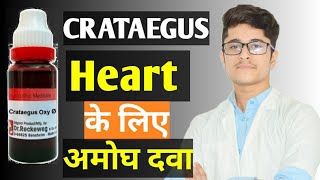 Crataegus Q Homoeopathic Medicine benefits in Hindi [upl. by Orella]