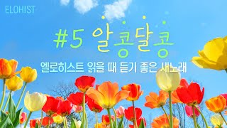 엘로히스트 읽을 때 듣기 좋은 새노래 5 [upl. by Eelidnarb]