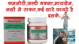 Khamira Gawzaban Ambari Benefits Dosage Side Effects  Hamdard [upl. by Ferri]