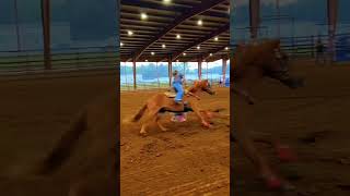 Brookhavenbarrelracing cowgirl equestrian horse rodeo cashman juleslifestyle follow [upl. by Arvo]