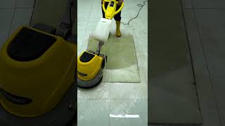 Like New Again Carpet Cleaning Magic [upl. by Lexerd982]