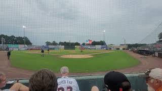 delmarva shorebirds [upl. by Bathilda]