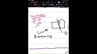 شرح فارما مرحله ثالثه موضوع الantibiotics قصة الpencillins [upl. by Claudian]