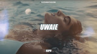 Kapo  UWAIE LetraLyrics [upl. by Brocky661]