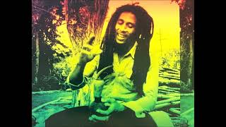 Bob Marley amp the Wailers  7775  San Francisco CA SBD [upl. by Naihr]